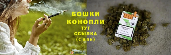 индика Белоозёрский