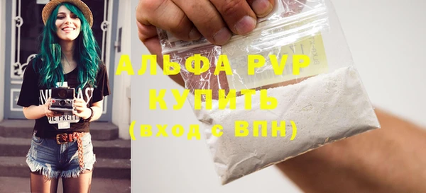 индика Белоозёрский