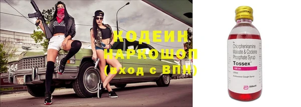 индика Белоозёрский