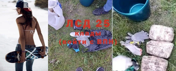 a pvp Богородицк