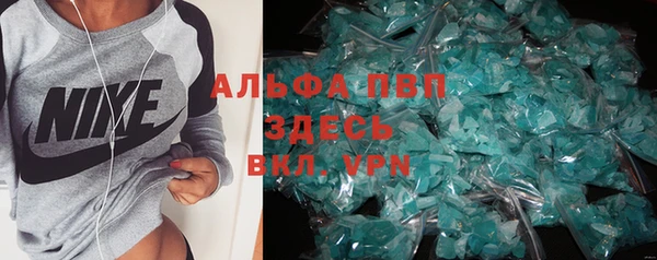 индика Белоозёрский