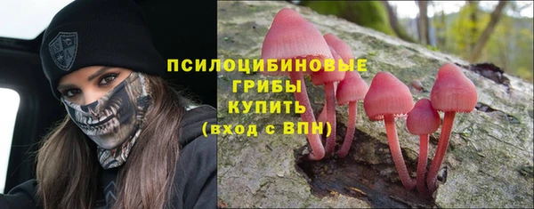 индика Белоозёрский