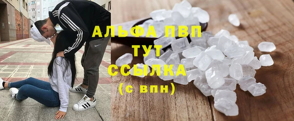 молекула духа Беломорск