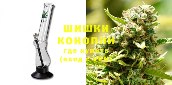 индика Белоозёрский